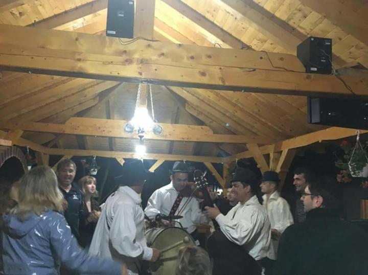 Pensiunea Malinul Bîrsana Zewnętrze zdjęcie