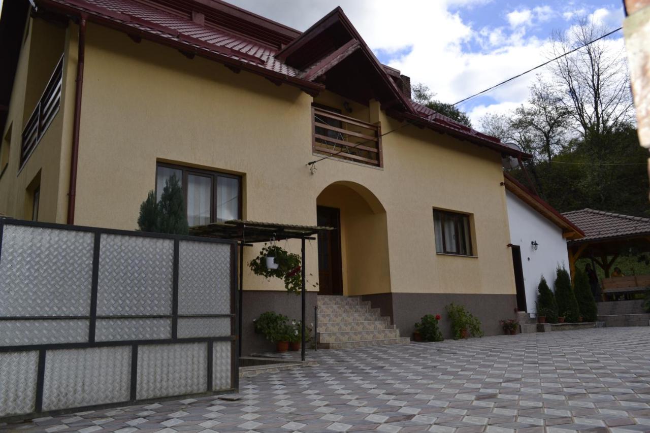 Pensiunea Malinul Bîrsana Zewnętrze zdjęcie
