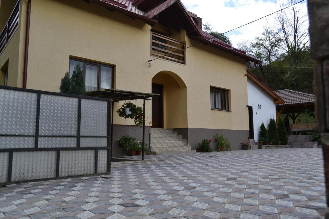 Pensiunea Malinul Bîrsana Zewnętrze zdjęcie