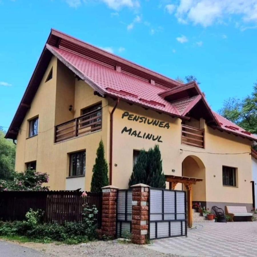 Pensiunea Malinul Bîrsana Zewnętrze zdjęcie