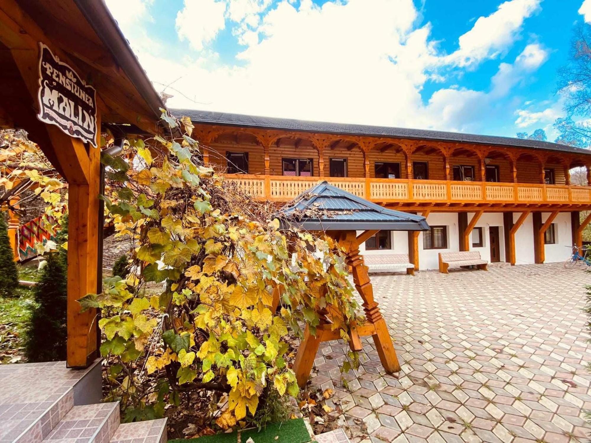 Pensiunea Malinul Bîrsana Zewnętrze zdjęcie
