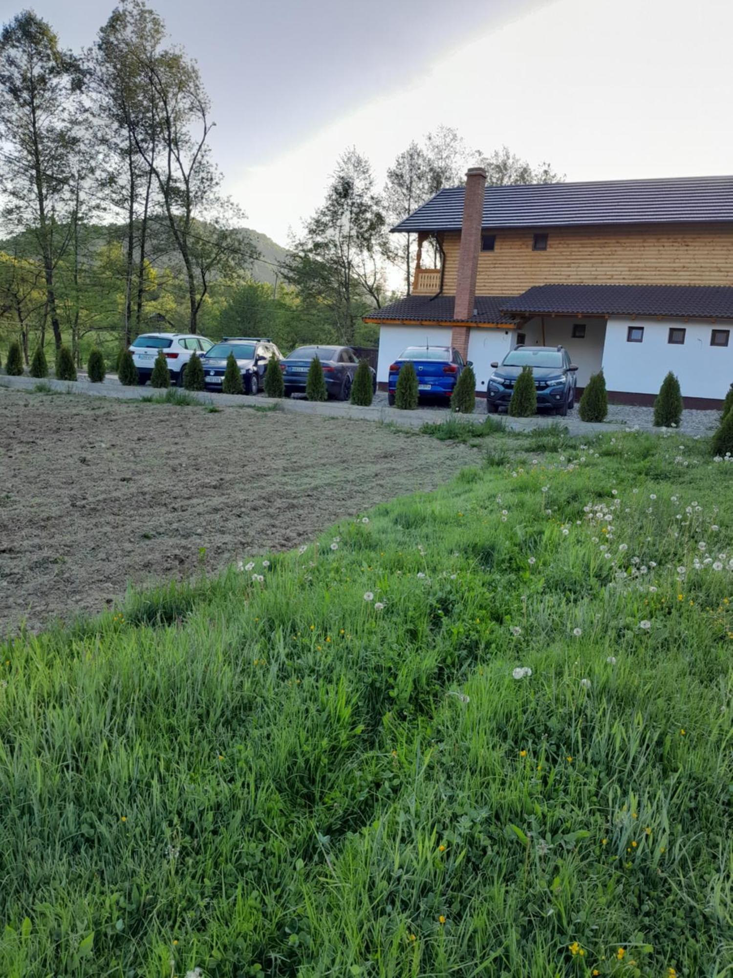 Pensiunea Malinul Bîrsana Zewnętrze zdjęcie