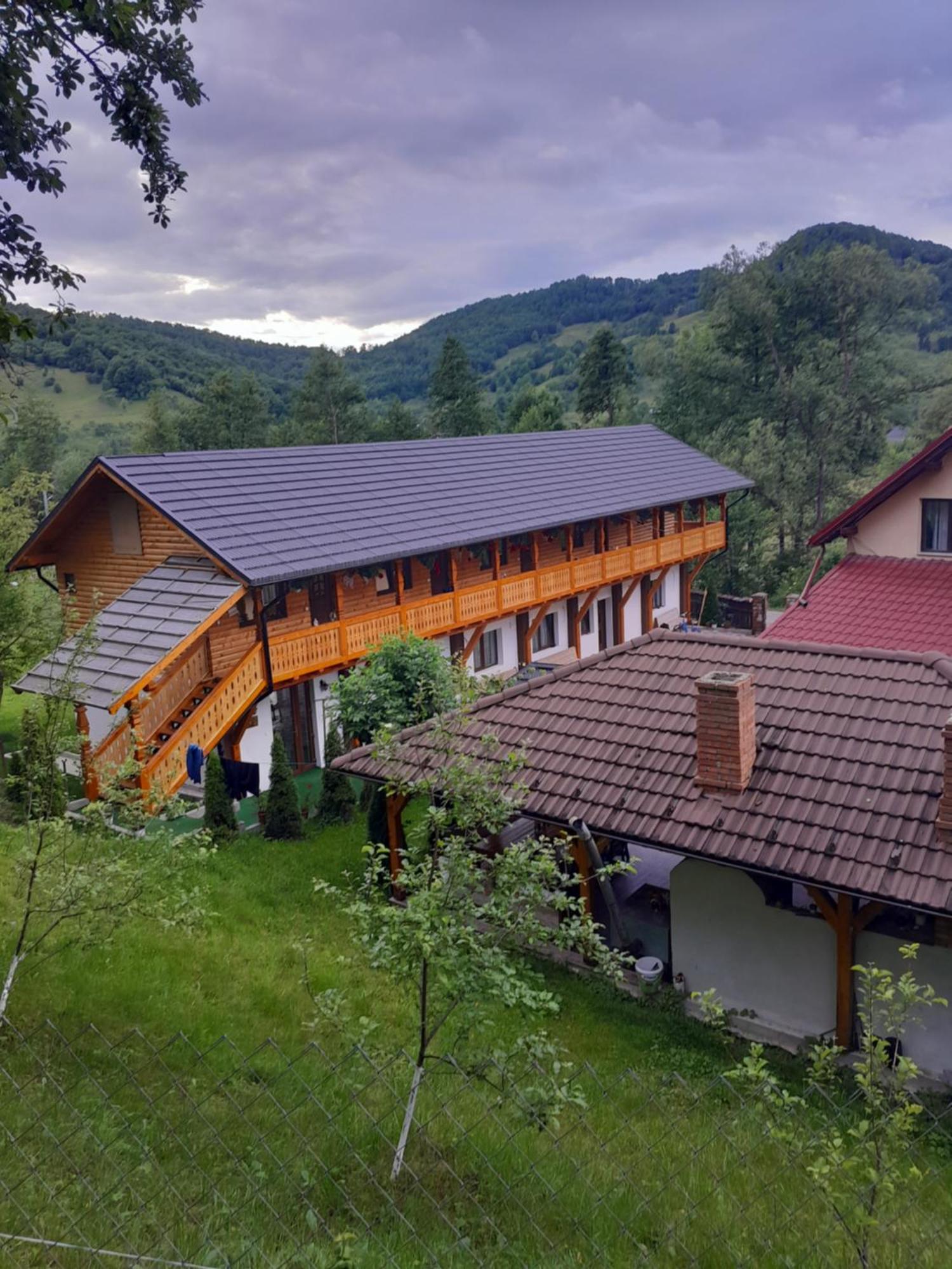 Pensiunea Malinul Bîrsana Zewnętrze zdjęcie